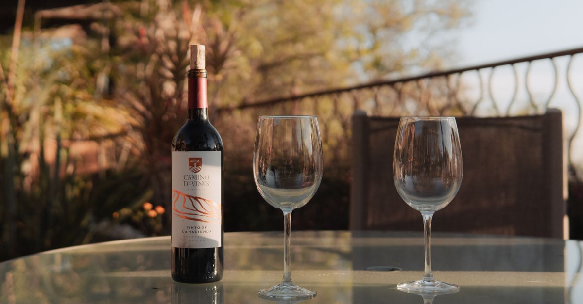 Cómo conservar el vino abierto y que no pierda sabor