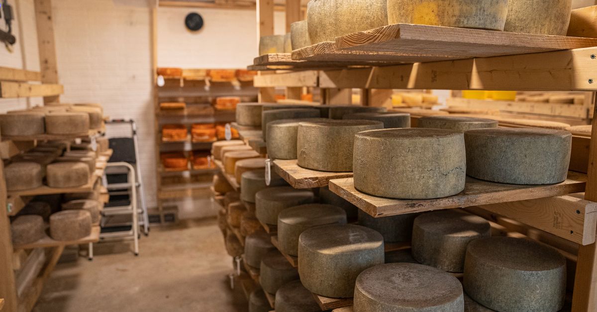 Cómo guardar el queso para que no se reseque: guía por tipo de queso