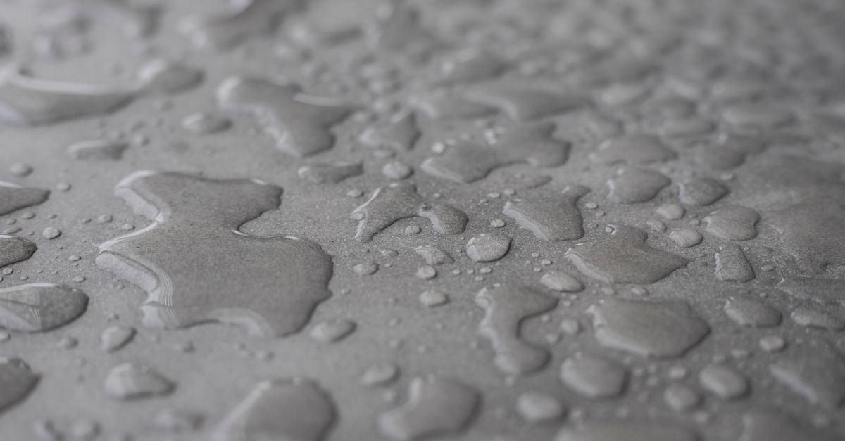Cómo evitar el moho en el baño: guía práctica de prevención y limpieza