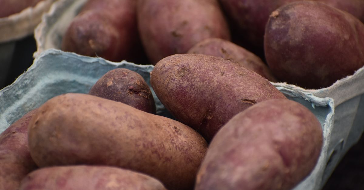 Patatas crudas de piel rojiza cubiertas de tierra, apiladas en una caja de cartón.