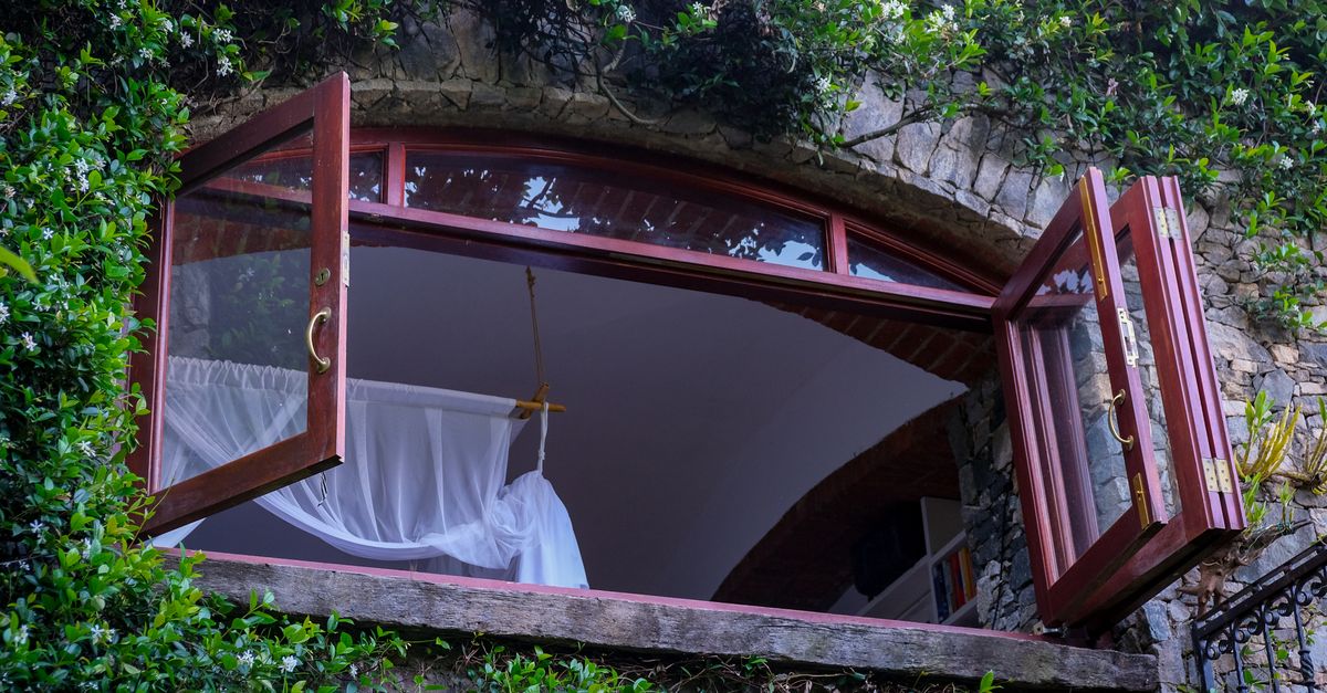 Ventana de madera con marco rojizo abierta hacia un patio con plantas verdes, dejando ver una cortina blanca en el interior.